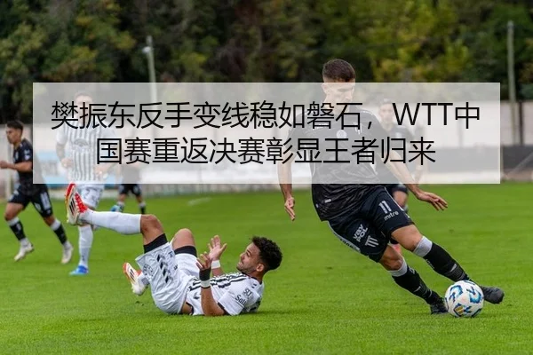 樊振东反手变线稳如磐石，WTT中国赛重返决赛彰显王者归来